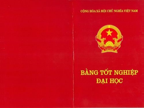 Hướng dẫn Làm Lại Bằng Đại Học Khi Bị Mất