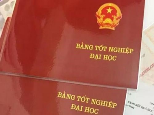 Hướng dẫn Làm Lại Bằng Đại Học Khi Bị Mất